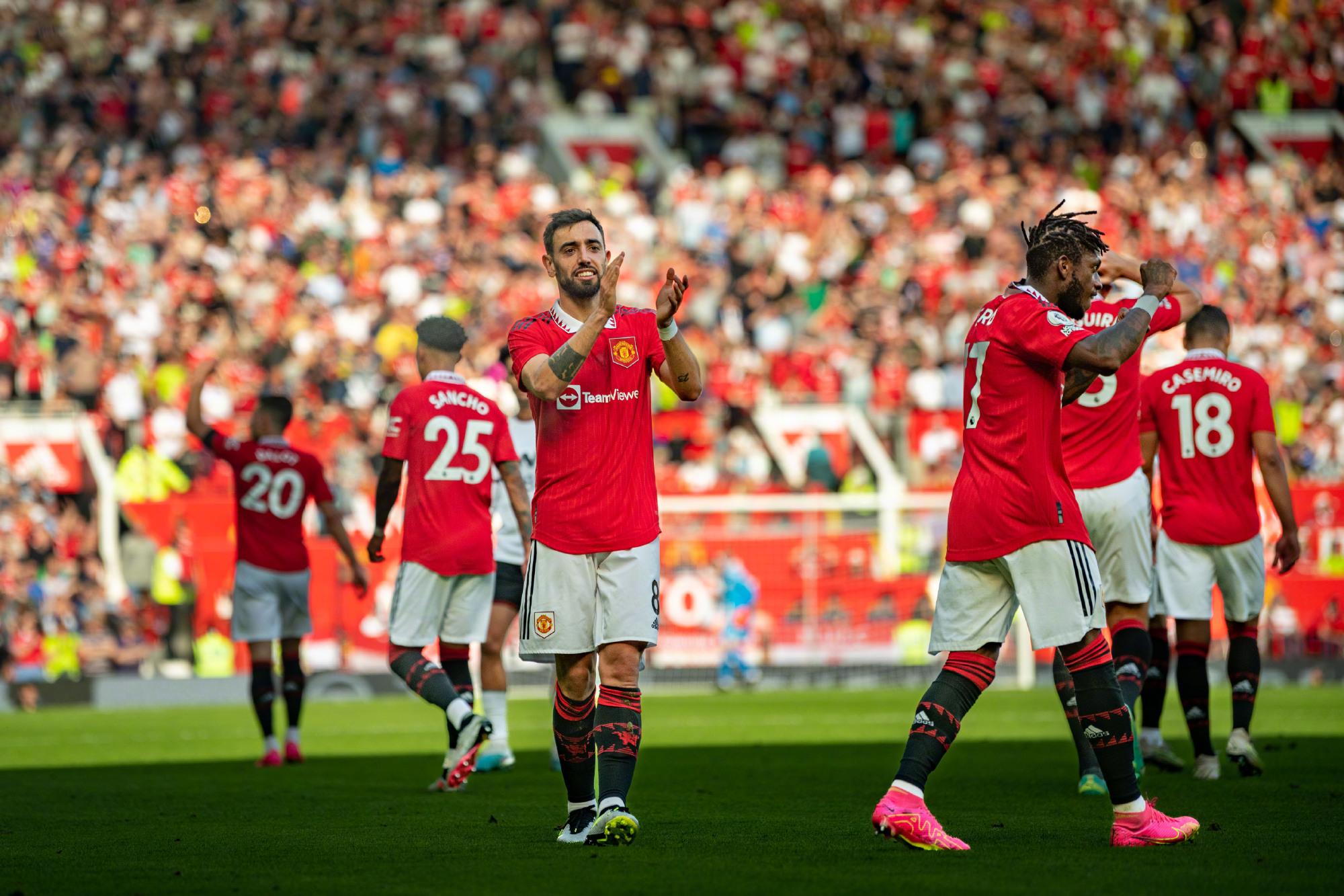 马较为自由 马较为自由